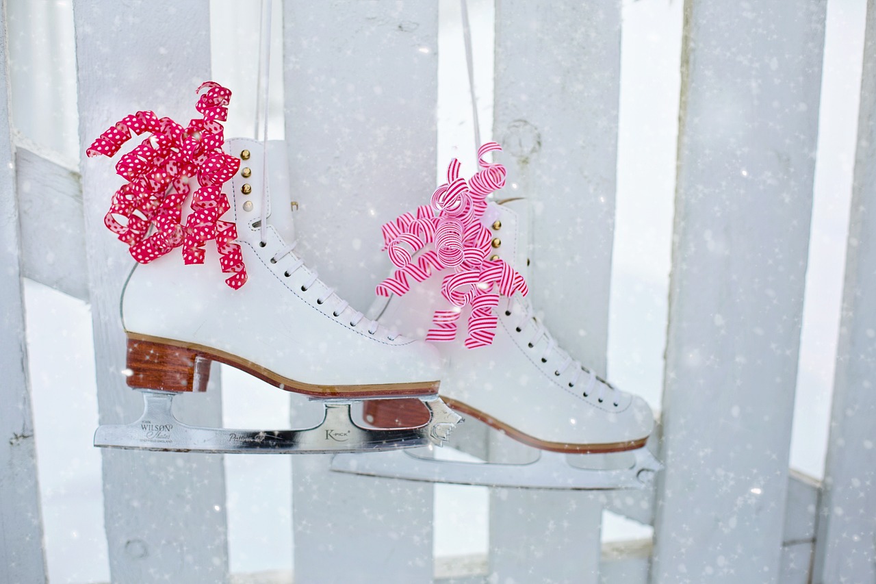 ice skates, hanging, nature-3971281.jpg